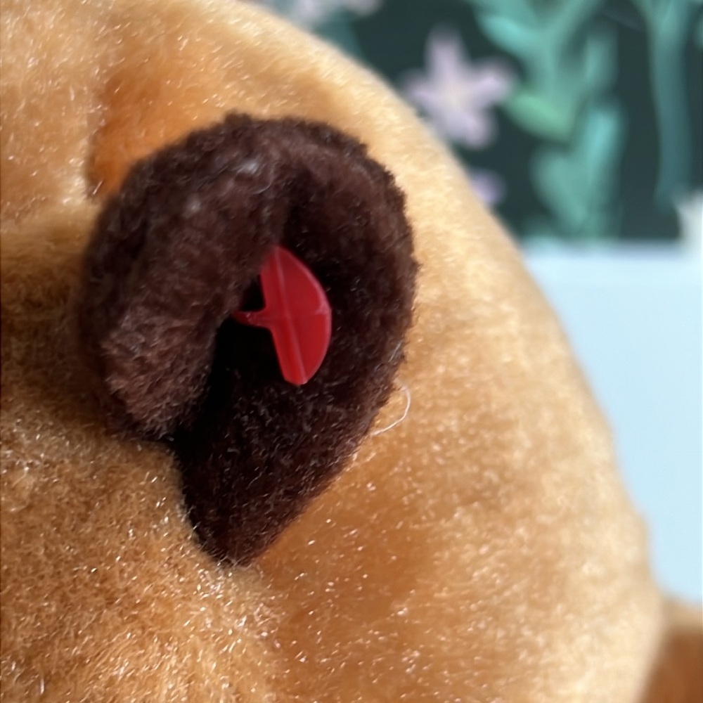 TY VelveTy Richie beaver plush 2017 TY INC.
Beanie plushie. - Picture 6 of 10